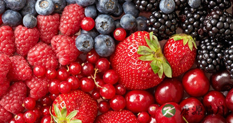 低卡路里的肉类食物