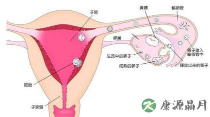 子宫癌的早期症状