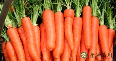 有肠炎能吃紫苏叶吗