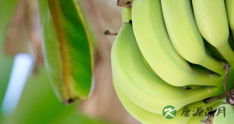 酒后头晕恶心怎么办