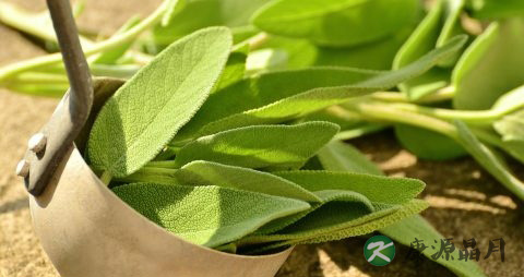 有肝病不能吃什么