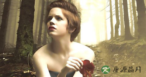 素食十大好处:素食营养比肉高 素食十大好处:素食营养比肉高