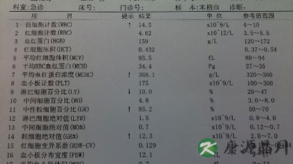 白细胞高的原因