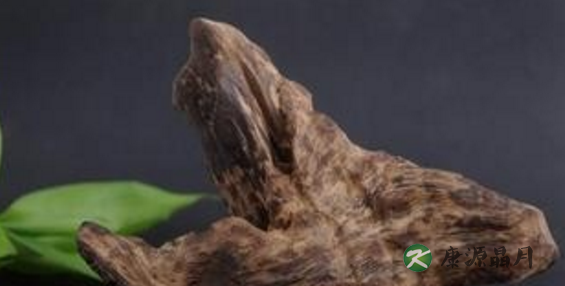 名贵中药材有哪些