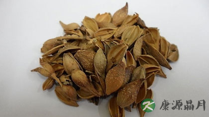 连翘的功效与作用 清热解毒散结消肿