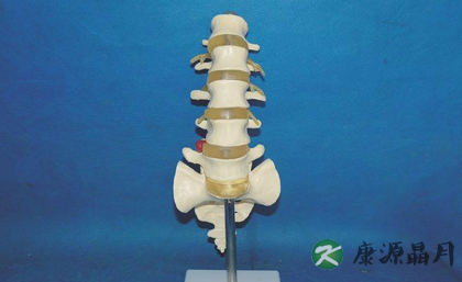 盘点人类已退化的生理特征