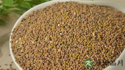 菟丝子的副作用