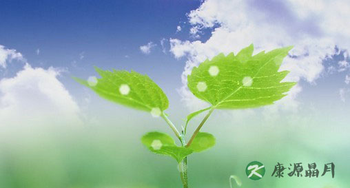 我的寿命我做主 教你5长寿秘方