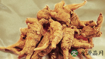 人参和西洋参的区别