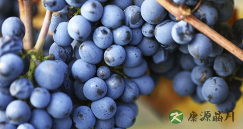 感冒能不能吃西瓜