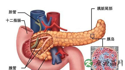 胰腺癌的早期症状