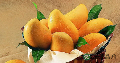 芒果上火还是降火