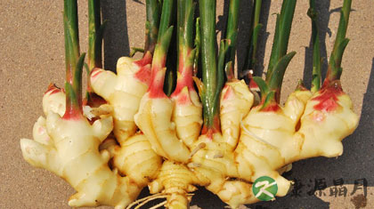 胃热能喝姜水吗 7类人要少吃姜 胃热能喝姜水吗 7类人要少吃姜