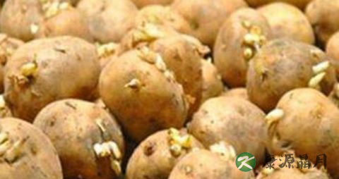 孕妇食物中毒怎么办