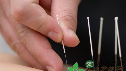 中医养生 最受欢迎的中医养生疗法 中医养生 最受欢迎的中医养生疗法