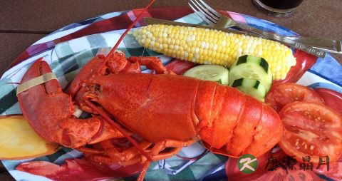 孕妇能吃龙虾吗 孕妇能吃龙虾吗