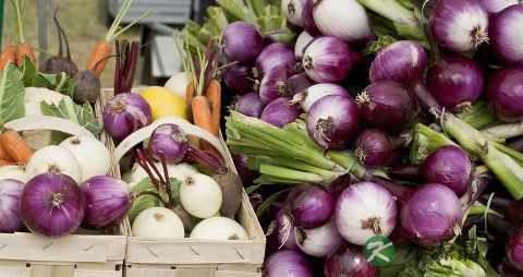 为什么到了冬天手掌会很干