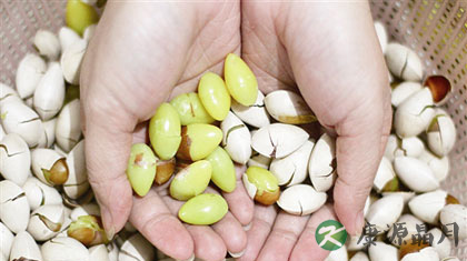 白果吃多了会中毒吗_白果吃多少会中毒