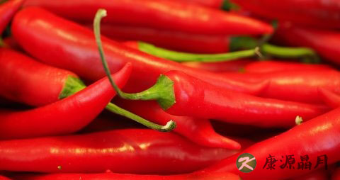 免煎药与熬药有区别吗