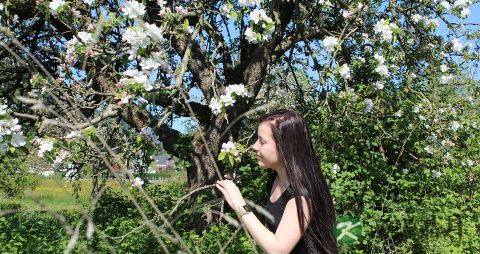 按摩+食疗治愈肠胃不适