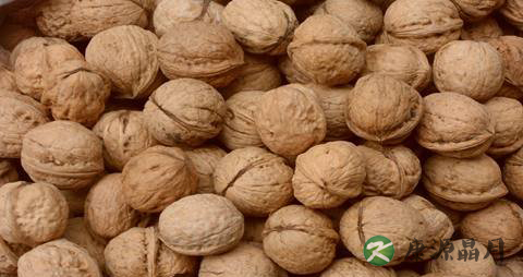 早泄肾虚吃什么调理 10种食物健肾补肾