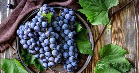 有肠炎能吃紫苏叶吗