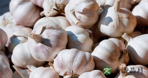 怎么样喝中药不伤胃