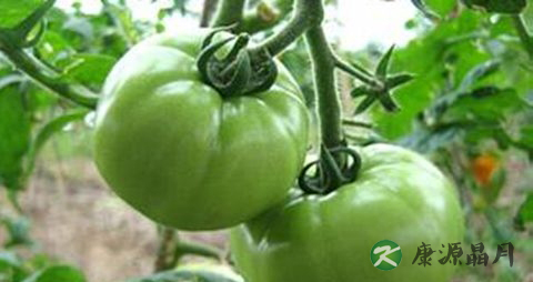 夏天食物中毒怎么办