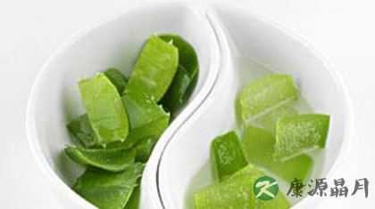 芦荟的功效与作用