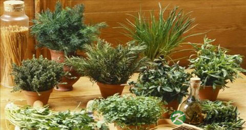 煎中药时为啥先用大火后用小火