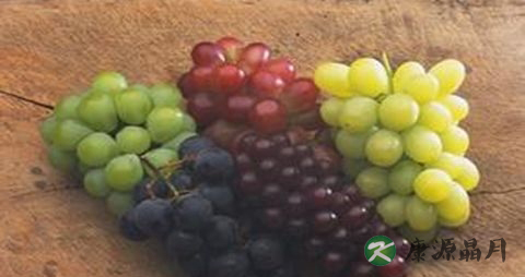 女人睡眠不足吃什么好