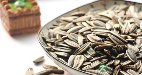 瓜子吃多了会上火吗 瓜子吃多了会上火吗