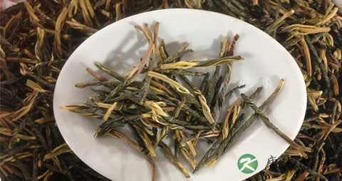 苦丁茶加蜂蜜治疗什么病