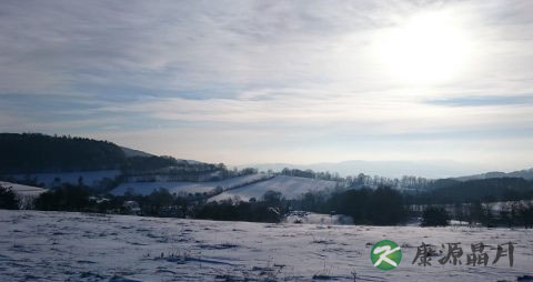 冬天手脚冰凉吃什么好