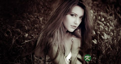 专家：蜂蜜种类多 功效大不一