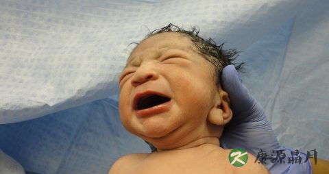 脐带血有必要保存吗