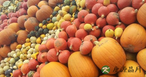 老南瓜吃多了会上火吗