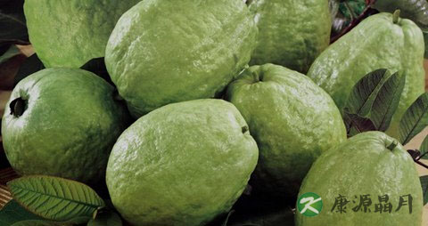 芭乐吃多了会上火吗 芭乐吃多了会上火吗