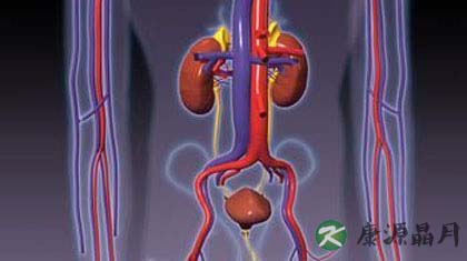 尿毒症一般能活多久