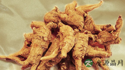 西洋参的吃法