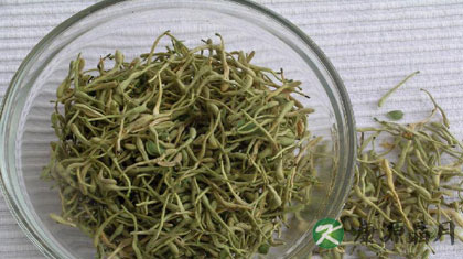 金银花能治咽炎吗