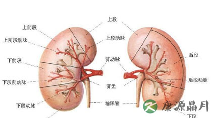 肾衰竭可以治愈吗