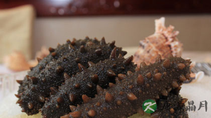 孕妇能吃海参吗