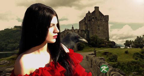 玫瑰花茶的冲泡方法