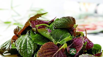 孕妇能吃紫苏吗