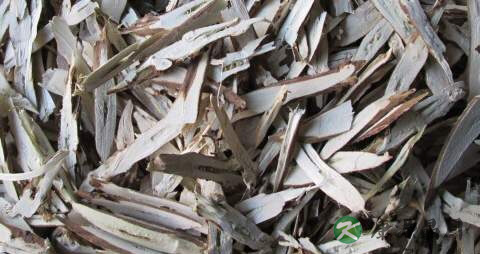 紫苏梗煮鸡蛋能保胎么