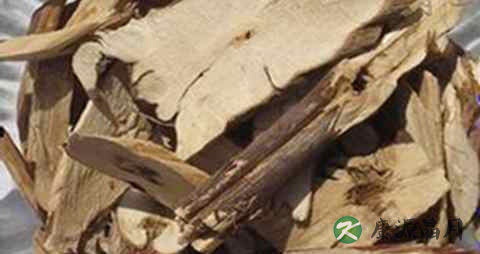 紫苏根煮蛋孕妇能吃吗