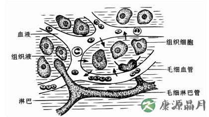 淋巴癌的早期症状