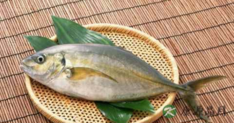 喝中药不能吃辣椒