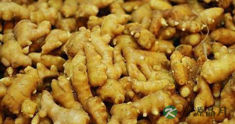 生姜的七大功效